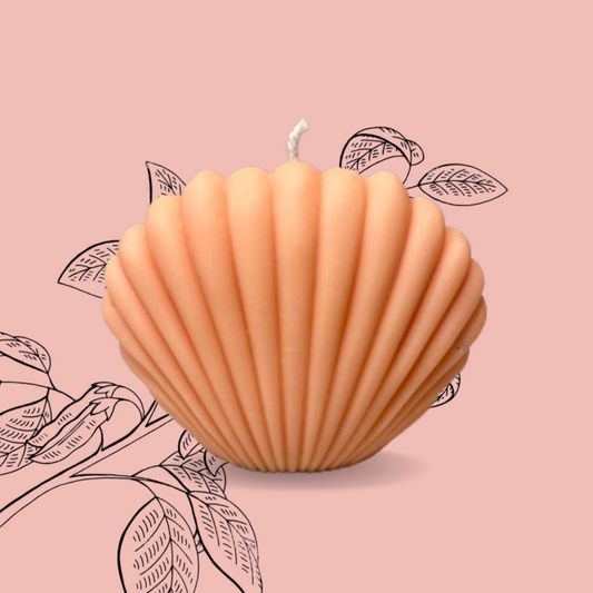 Atisa Sea Shell Soy Wax Candle (Customisable)