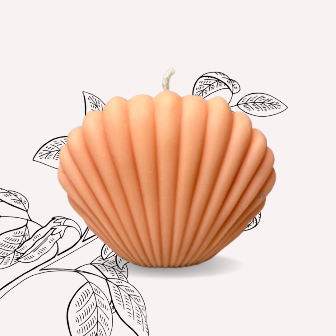 Atisa Sea Shell Soy Wax Candle (Customisable)