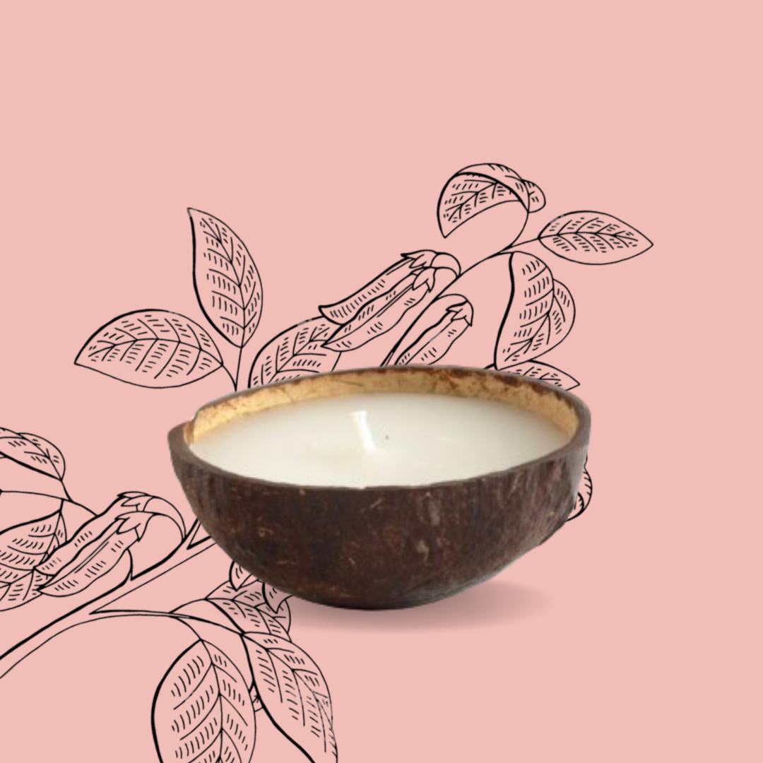 Atisa Coconut Shell Soy And Coconut Wax Candle